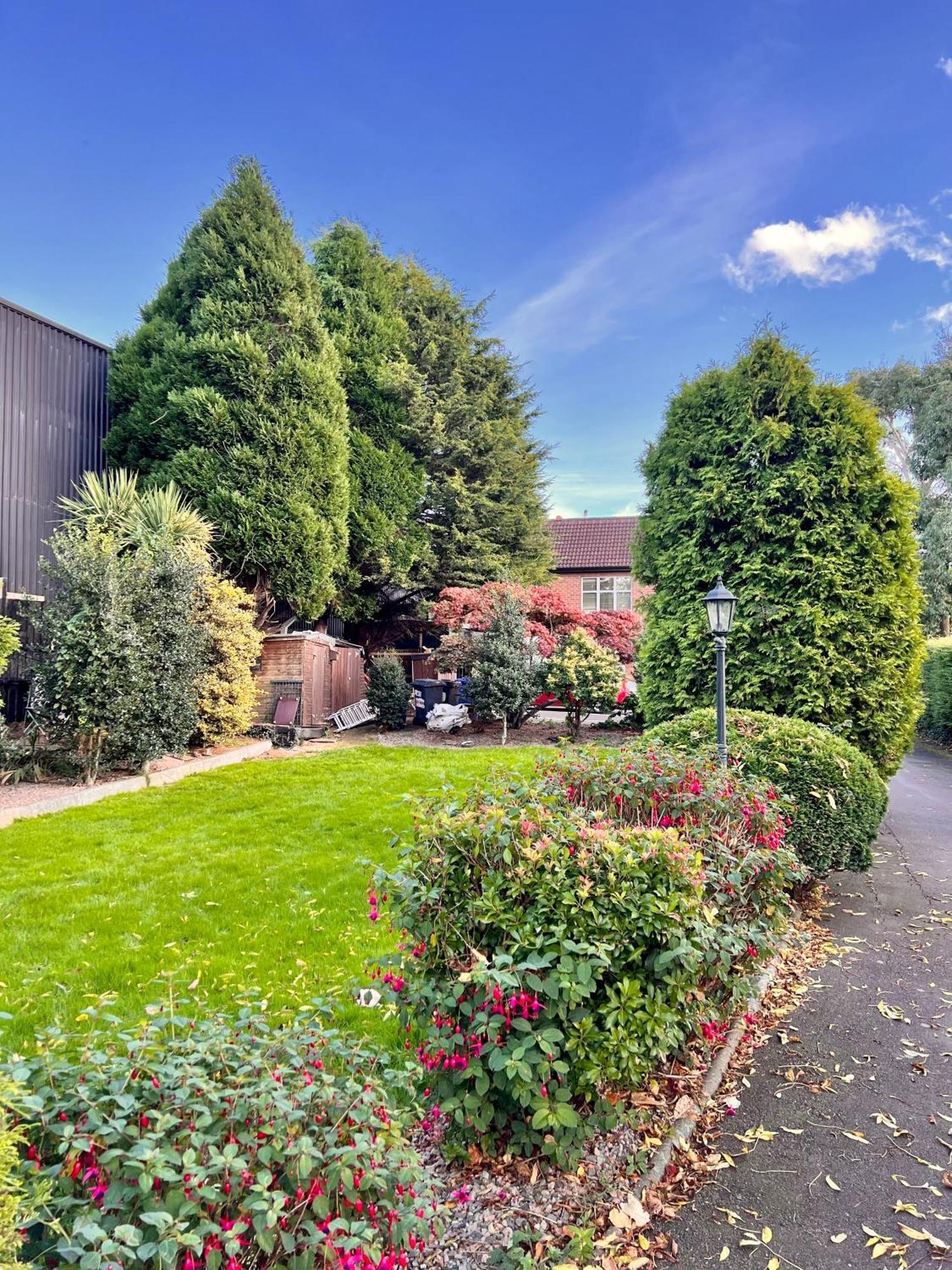 Ashfield Bed & Breakfast Belfast Eksteriør billede