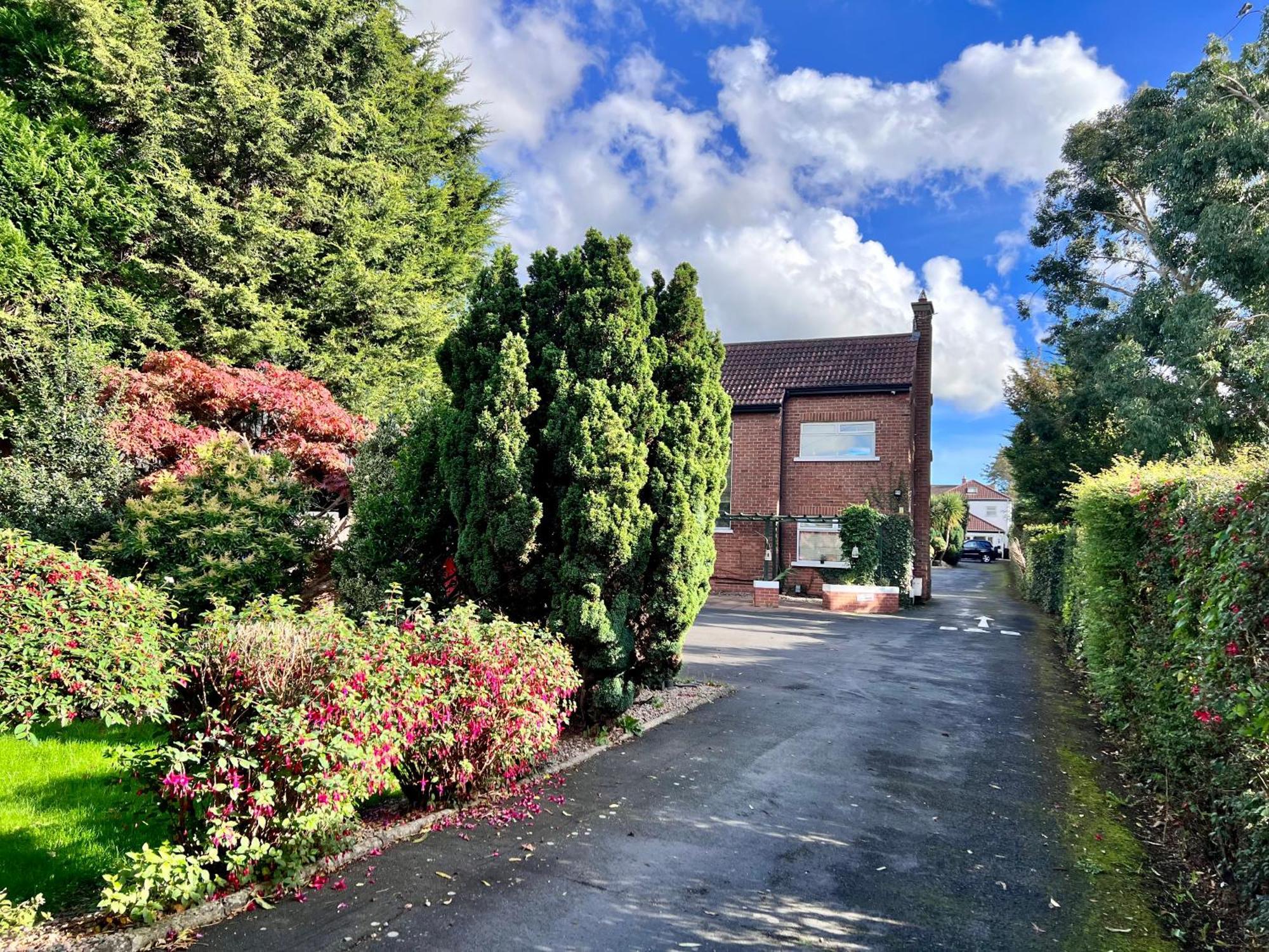 Ashfield Bed & Breakfast Belfast Eksteriør billede